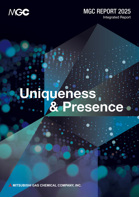 Photo: the front cover of MGC report(integrated report).