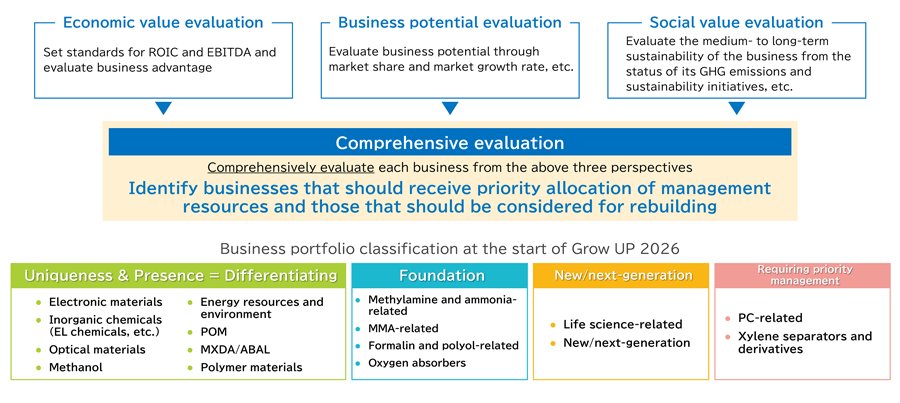 figure: Business Portfolio Classification