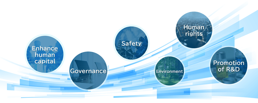 figure: Promote Materiality Management