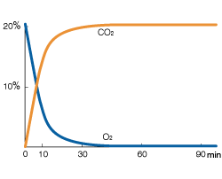 Graph: AnaeroPack&trade;-Anaero absorbs O2 and generates CO2.