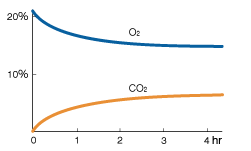 Graph: Composition change of the gas caused by AnaeroPack&trade;-CO2