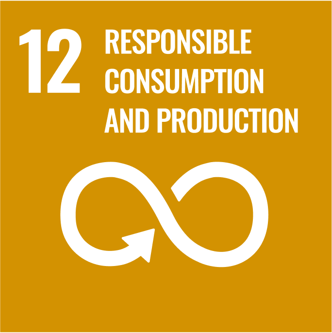 sdgs 12 RESPONSIBLE CONSUMPTION AND PRODUCTION