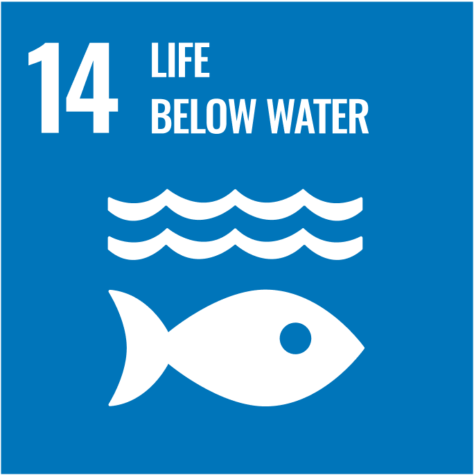 sdgs 14 LIFE BELOW WATER