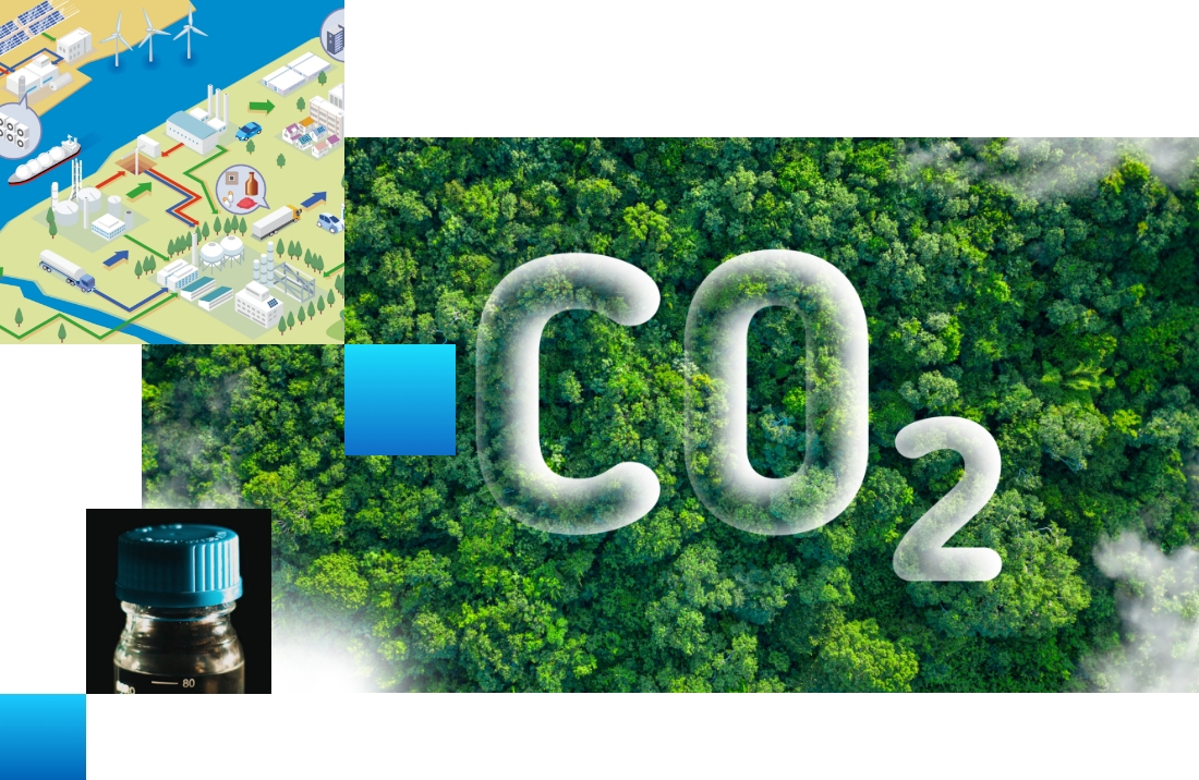 循環型社会、脱炭素社会のイメージ