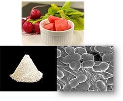 画像：リブオーレ&reg; 乳酸菌の外観